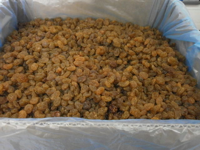 SOUTH AFRICAN ORANGE RIVERS GRAPES 12.5KG