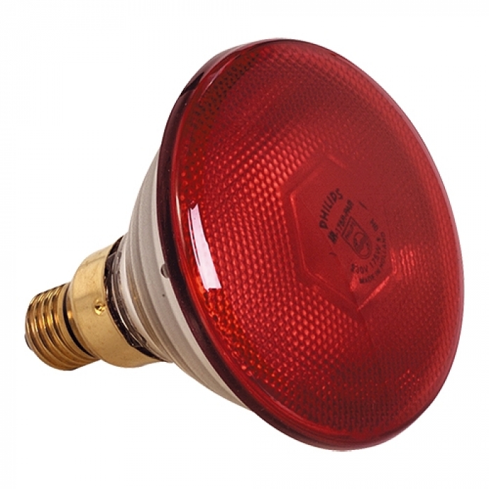 175W RODE ENKELE LAMP VOOR LAMPENKAP