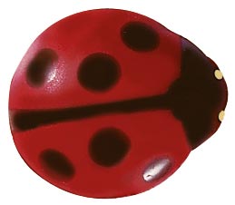 061303 PCB LADYBUGS CB 2.1X1.9 CM 170PCES ***S/CD***