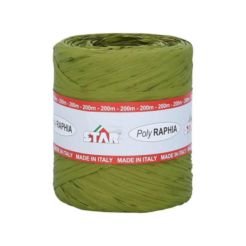 POLY RAPHIA 15MM X 200M VERT MOUSSE R41