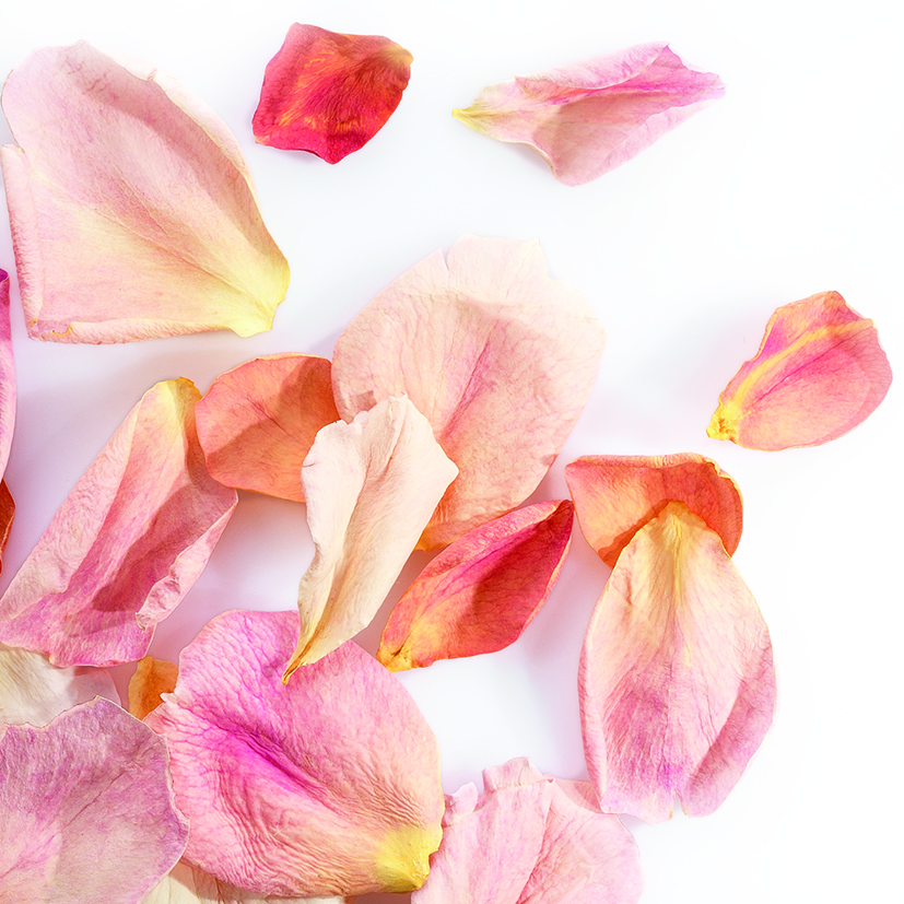 088210 PCB LARGE FREEZE-DRIED ROSE PETALS PALE PINK 2GR