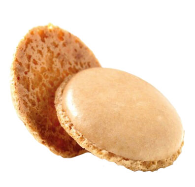 BITTERKOEKJES VANILLE SCHELP 3,5 CM VAN PARIJS 160 PCES