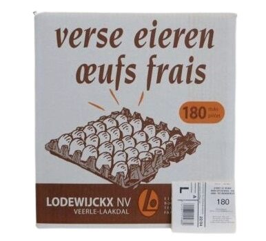 VERSE GROTE BRUINE EIEREN 180 STUKS