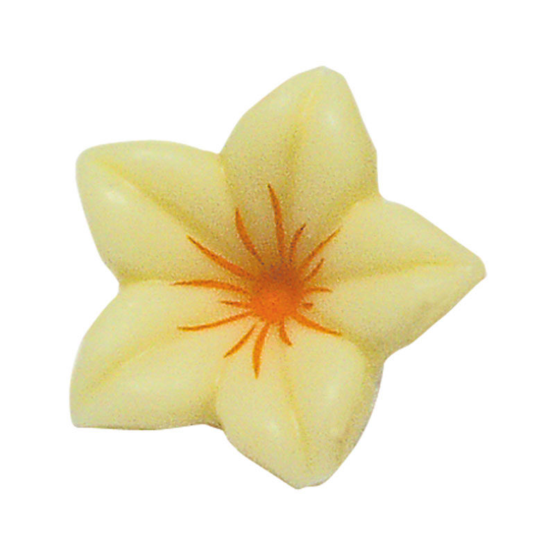 1054013 WHITE FLOWER 76PCES ***S/CDE***