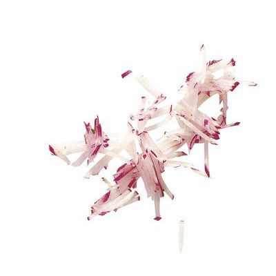 ROBOT COUPE SCHIJF "PM" STICKS 2X2MM