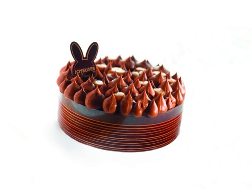 [08056306] 011456 PCB FEUILLES CHOCOLATÉES LIGNES 66X4 CM 15PCES ***S/CD***