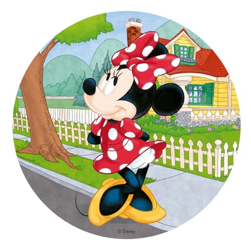 [08041625] MINNIE WAFER SCHIJF 20 CM
