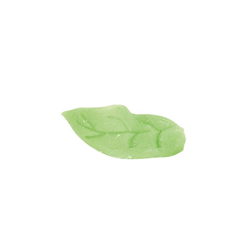 [08081099] *FF*1061018 PETITE FEUILLE 600PCES ***S/CDE***