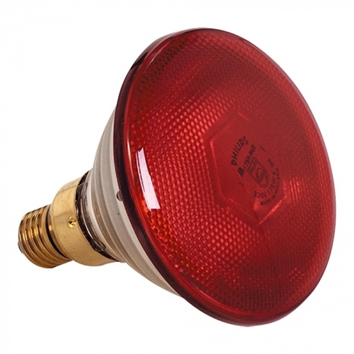 [57660457] 175W RED SINGLE LAMP FOR LAMPSHADE