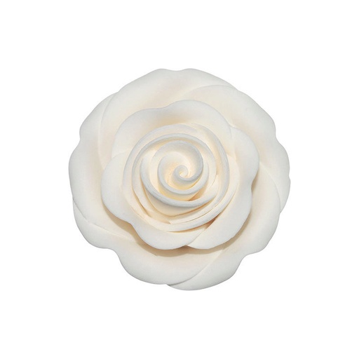 [08081253] *FF*1066051 GROTE WITTE ROOS 36 STUKS ***S/DOOS***