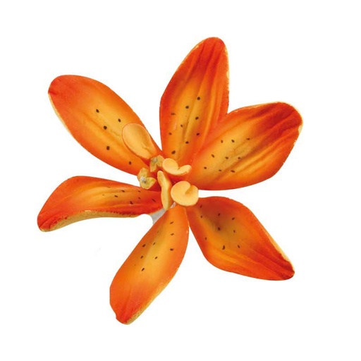[08074233] 1066045 LILY GRAND 25PCES ***S/CDE***