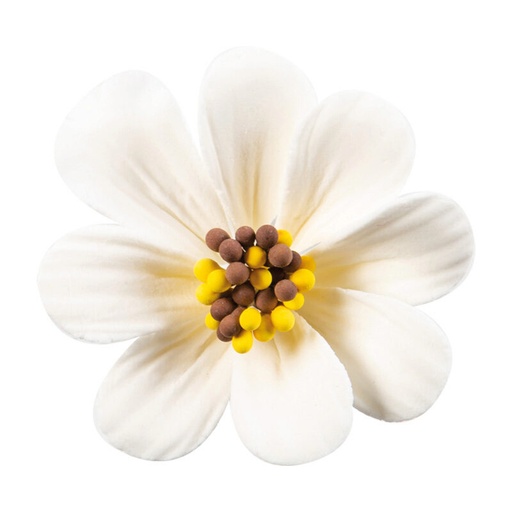 [08054316] 1066098 FLEUR DE LYS BLANC PASTILLAGE 5CM 36 PCES ***S/CDE***