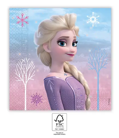 [00068382] FROZEN II WIND SPIRIT SERVIETTE PAPIER 33x33cm 20pcs