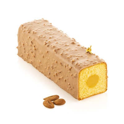 [00071084] SILIKOMART KYOTO 800 MOLD 230 X 60 H 60 MM + INSERT