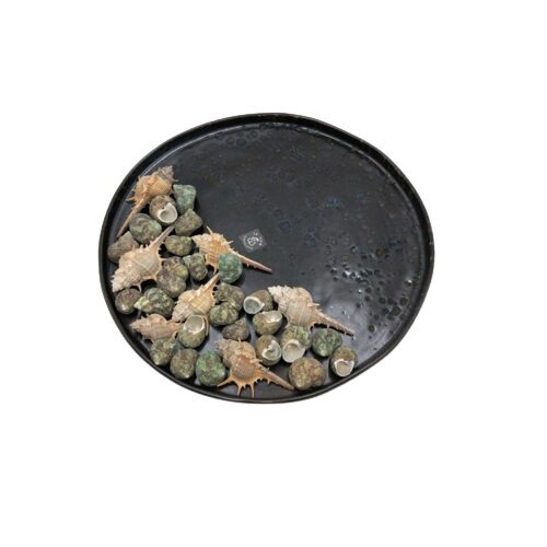 [57661141] LE COQ PHOBOS BLACK BLUE DOTS PLATE 31XH2.5 CM STRAIGHT EDGES STONEWARE - LPHO019NB005310