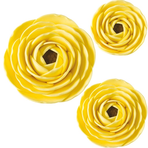 [08063269] *FF*+ 1066038 RENONCULE JAUNE 4-5-6,5CM 27 PCES ***S/CDE***