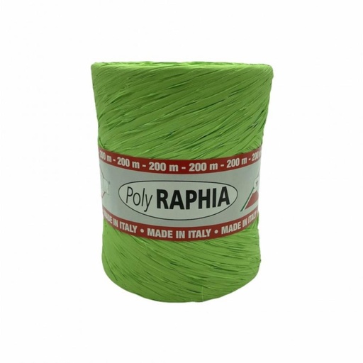 [70407805] POLY RAPHIA 15MM X 200M VERT KIWI R65