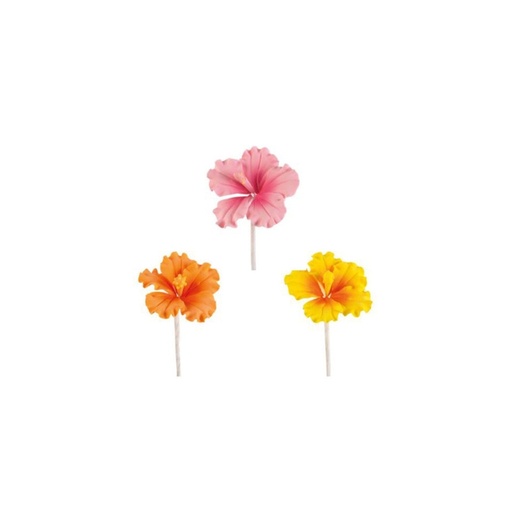 [08058413] *FF*1066092 HIBISCUS 3 CM 36 STUKS ***S/CDE***