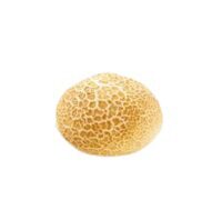 [02040209] VAMIX B799 TIGER BUN Ø 10CM PAC 36X70GR