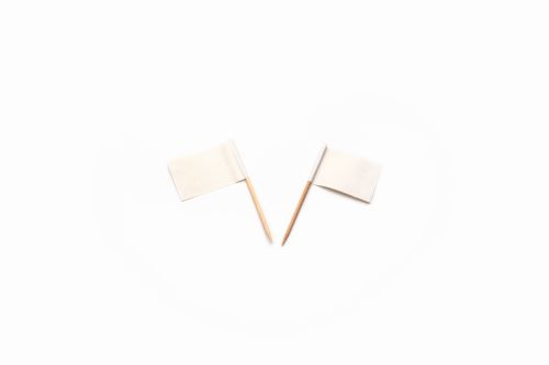 [53522235] WHITE FLAG PIKES BOX OF 500 PCES