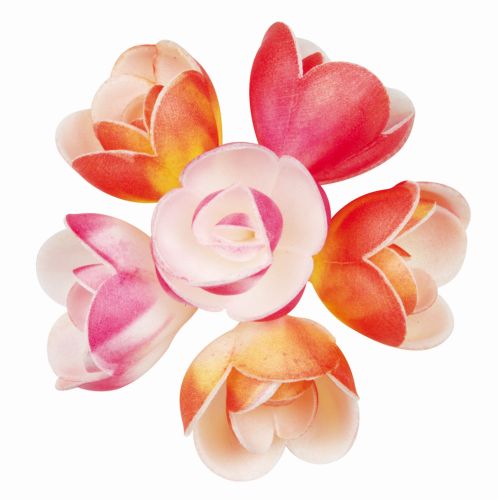 [08050326] RPI01 PETITE ROSE 40MM ASSORTIES AZYME NUANCEES 72 PCES