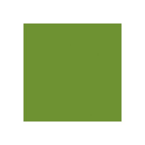 [60700599] DUNI "BIO" 3-PLY NAPKIN 40X40CM LEAF GREEN 12PCS