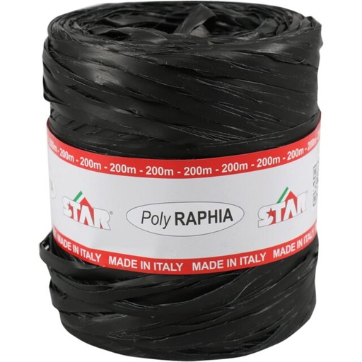 [70407796] POLY RAPHIA 15MM X 200M  NOIR R89