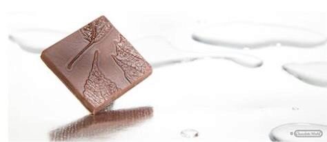 [70410515] CHOCOLADEVORM CACAOBLAD CW1669275X135MM - 2X5 -- 13GR