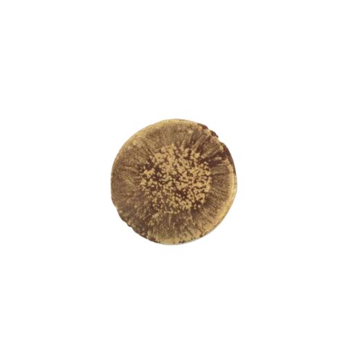 [08054993] 1034764 GOUD CLASH DONKER 4CM 100ST ***S/CDE***