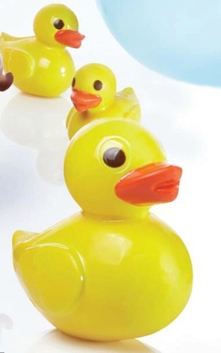 [70410452] PAVONI THERMOFORMED MOLDS "CANARD PARELLA+PAPER" KIT 2 PIECES 112 X 80 X H 136 MM + 60 X 45 X H 75