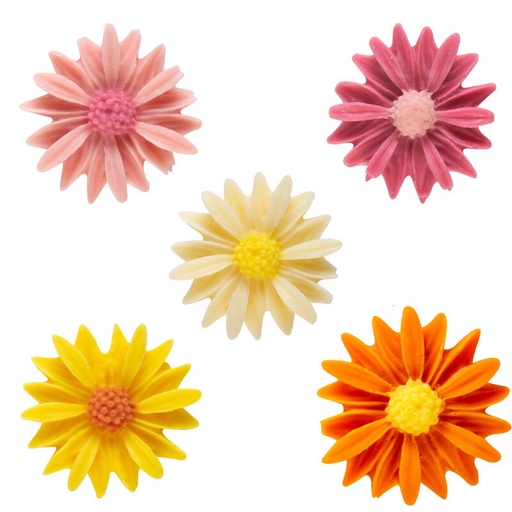 [08034244] 61060 ASS MARGRIETJES CHOCO 2,5CM 120ST = DOOS