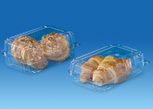 [41802307] PAT PATIPACK RECT INT BOX 190X105X65MM VENTILATED HINGED LID 440 PCE/BOX