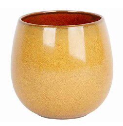 [60252222] PROOF ELEMENTS MOSTERDKOP 27,5CL 7XH8,2CM - 5698025