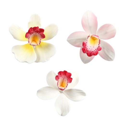 [08081245] 1066042 ASSORTIMENT ORCHIDÉ PETIT 12PCES