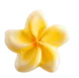 [08057138] 061313 PCB TIARE FLOWERS CB 2.5X2.5 CM 192PCS ***S/CD***