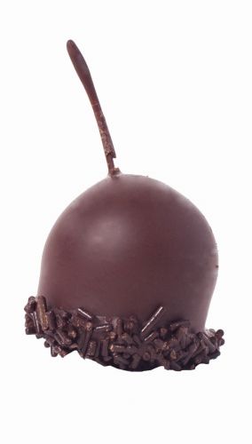 [11030035] BRUYERRE GUINETTES PRALINE WITH MELTING CORE 1KG