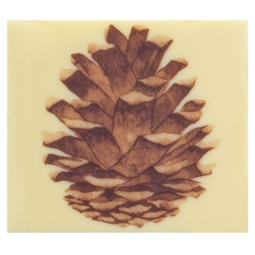 [08057487] 070291 PCB PINE CONE CB END CAPS 8.5X7.5 CM 40PCS ***S/CD***