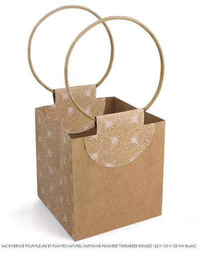 [61700163] SAC PAPIER KRAFT AVEC ANSES EN CORDELETTES  120X120XH/125MM 10 PCES
