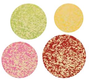 [08057113] 061285 PCB ROUND CB SPECKLED 5 DESIGNS 360PCS ***S/CD***