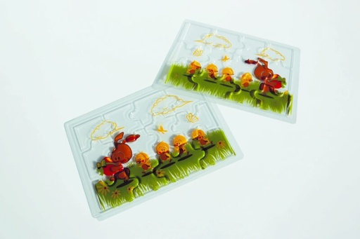 [08057733] PCB Blisters puzzels In enkel bestand 19x13 cm 10 stuks ***s/cd***