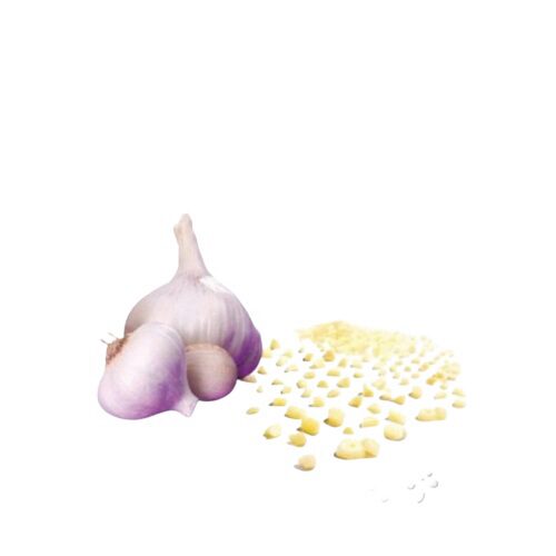 [02100169] MAGDA 250GR CUBE GARLIC FROZEN