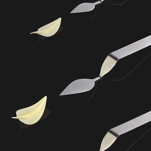 [70408803] STAINLESS STEEL SPOON DECORATED WITH LEAF "L" 80X40MM