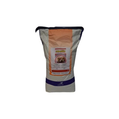 [05050040] CROUSTILIS ROUGE AMELIORANT POUR BAGUETTES 20KG