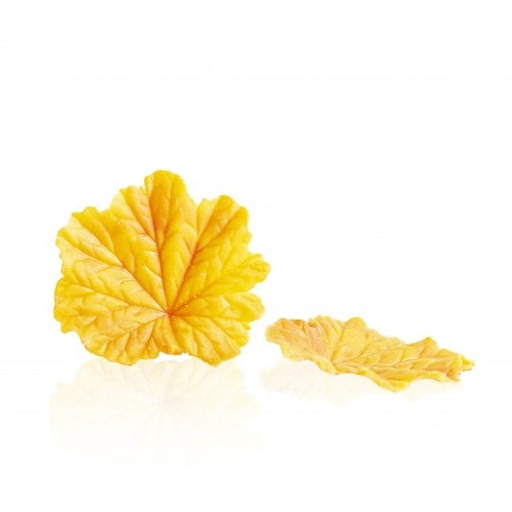[08082229] 1012288 /77688 CHOCOLATE AUTUMN LEAF 24 PCS