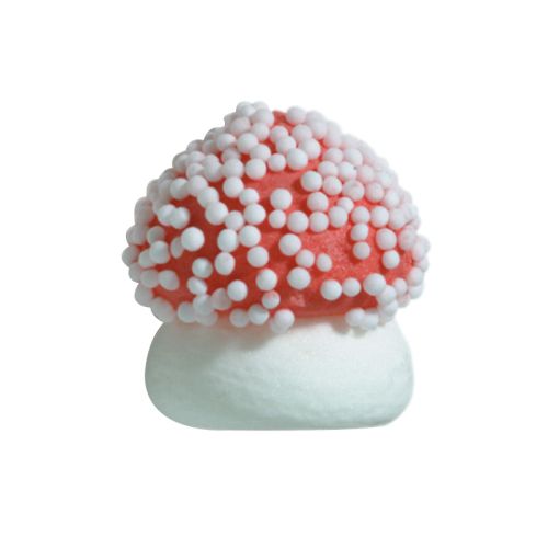 [08031313] 1051321 CHAMPIGNON SUCRE GRAND DIA 2.1CM 180CPES= BT