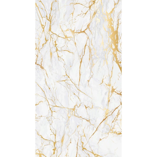 [08054338] 2075061 MARBLE GOLD/WHITE CHOCOLATE BREAKABLE PLATE 30X12CM 8 PCES ***S/CD***