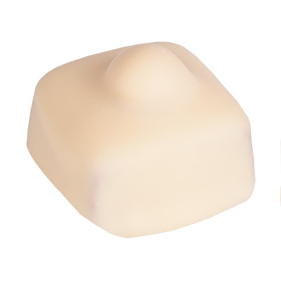[11040298] BRUYERRE MANON WHITE HAZELNUT PRALINE 1KG