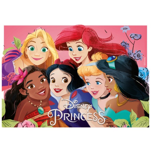 [08041942] IMAGE EN AMIDON PRINCESSES 14,8X21CM