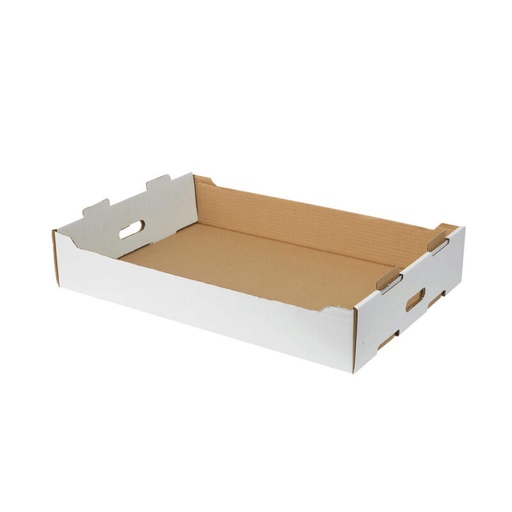 [24503088] STACKABLE CARTON TRANSPORT BOX 60X40 FOST+ 2024 INCLUDED (€1,540385) 50 PCES