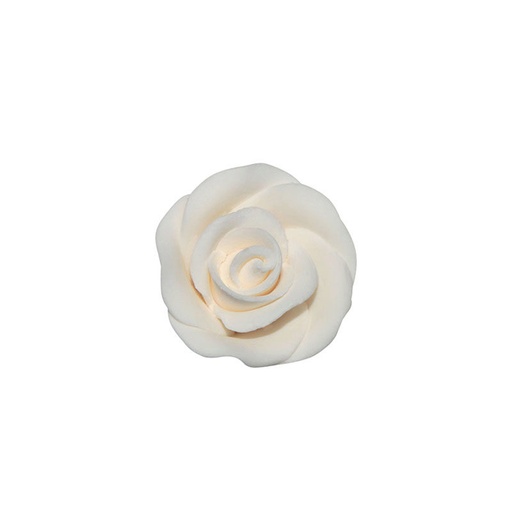 [08081255] *FF*1066053 ROSE BLANCHE PETITE 64PCES***S/CD***